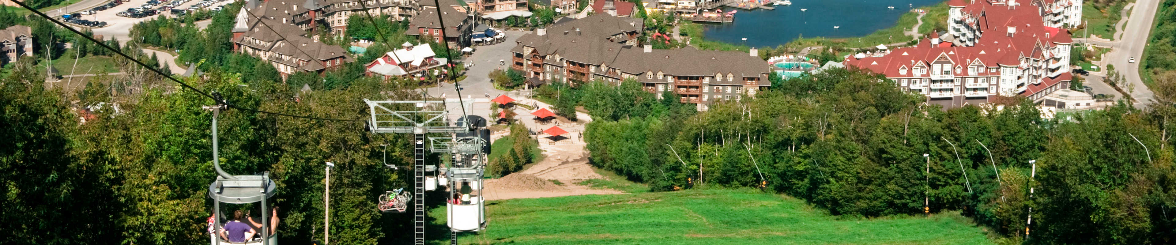 Blue Mountain Private Tour for 6